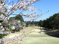 芳賀カントリークラブ 西6番ホール PAR5 556ヤード